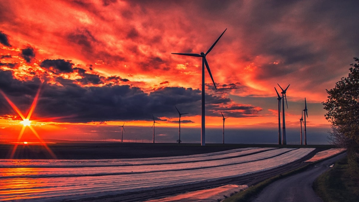 Ushqimet më të mira për energji